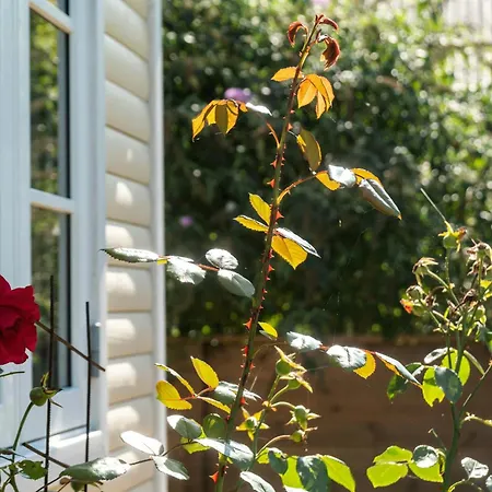 Peace Of Mind And A Smile On Your Lips At Havnso Dom wakacyjny